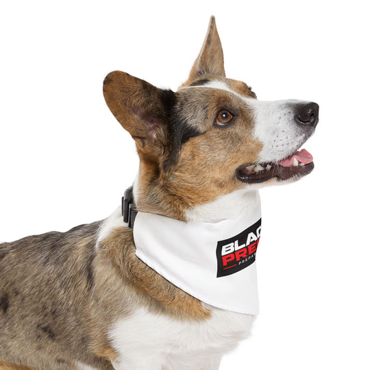 Blackout Preppers Pet Bandana Collar, White