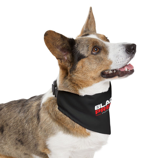 Blackout Preppers Pet Bandana Collar, Black