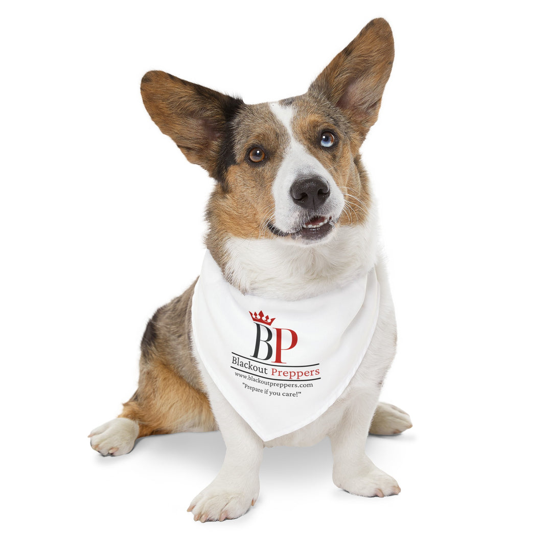 Pet Bandana Collar (White)