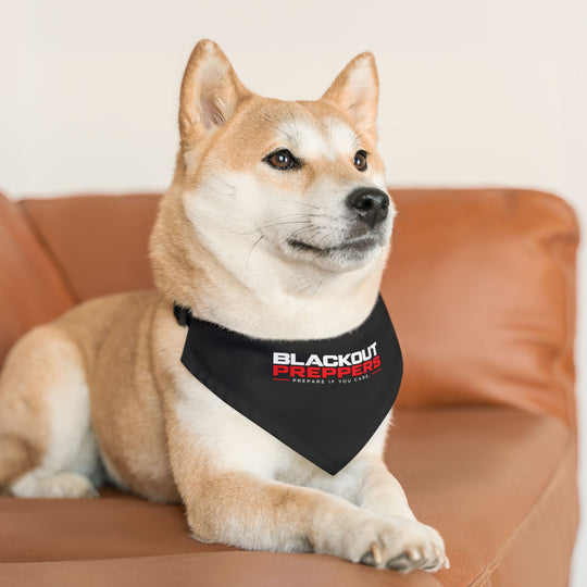 Blackout Preppers Pet Bandana Collar, Black